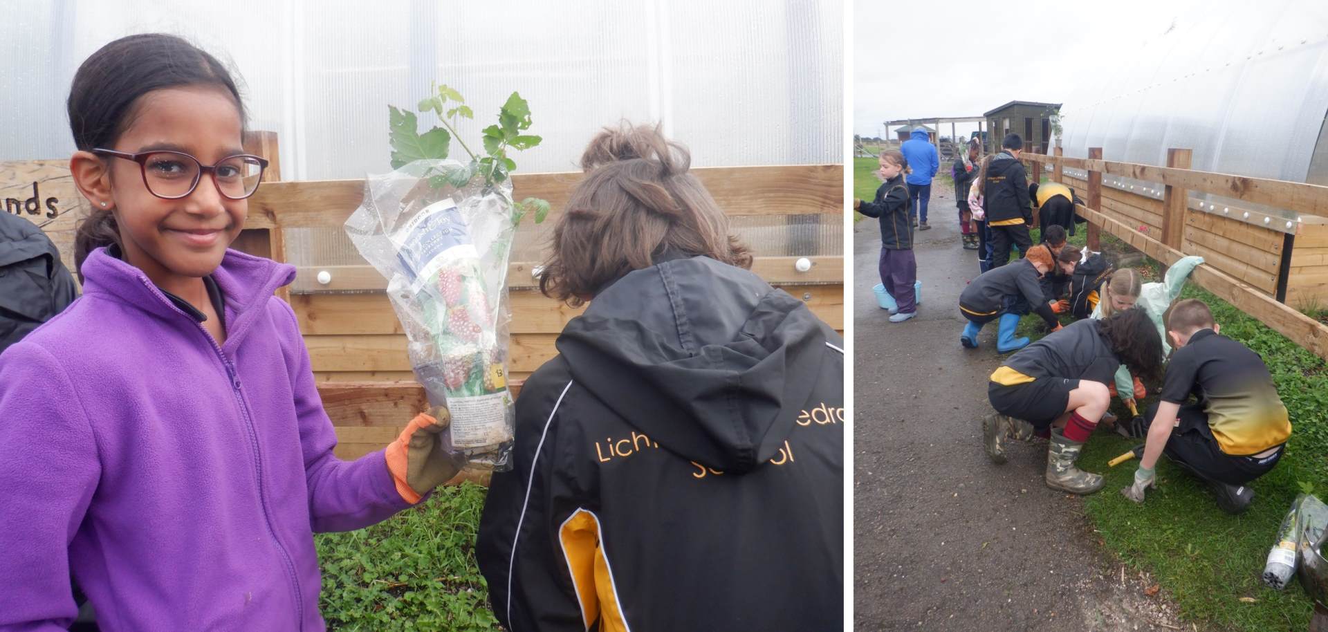 Three photos of Forest School activities undertaken in the autumn