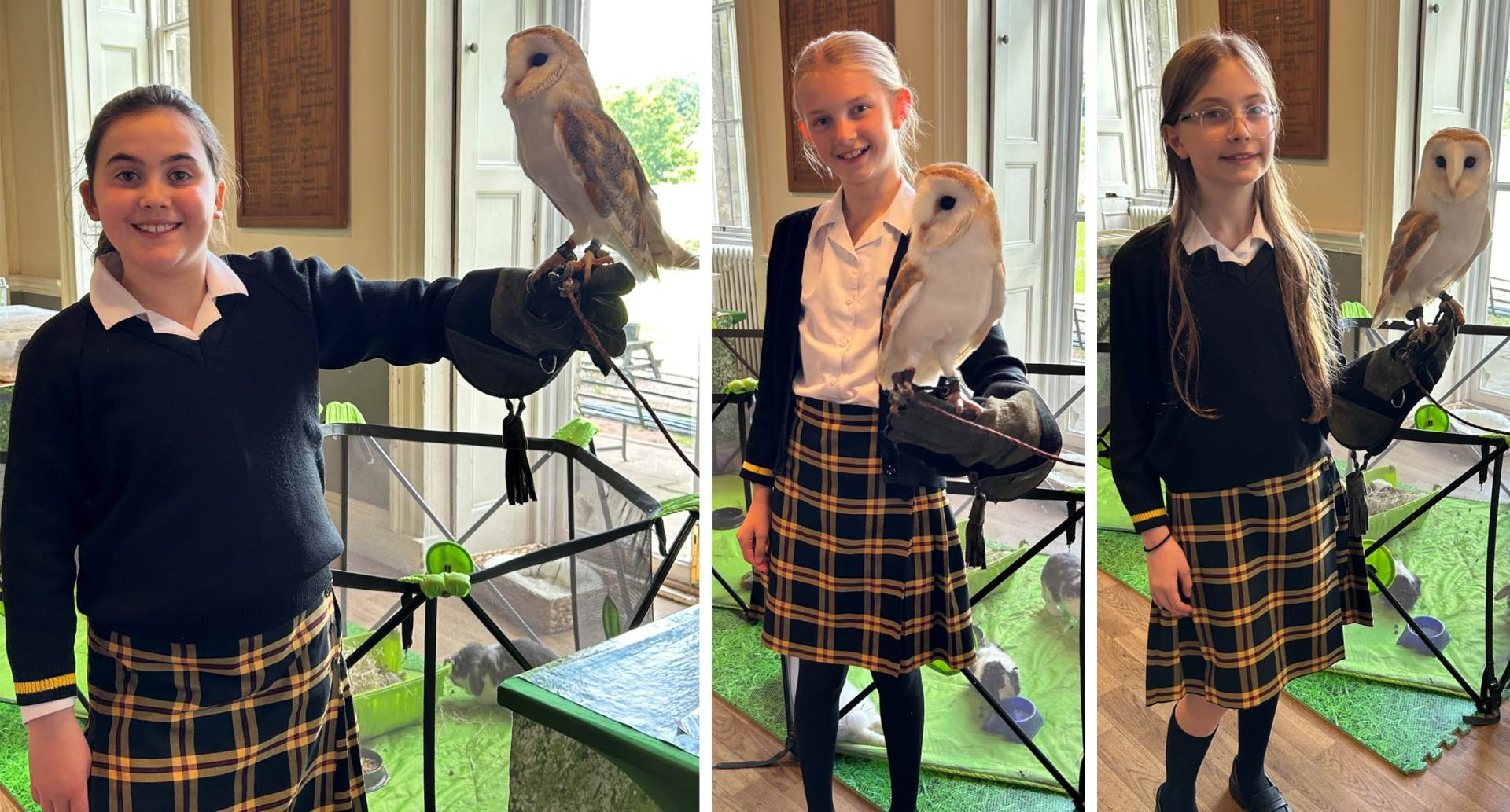 Girl choristers holding an owl Three Girl Choristers each taking turns to hold an owl