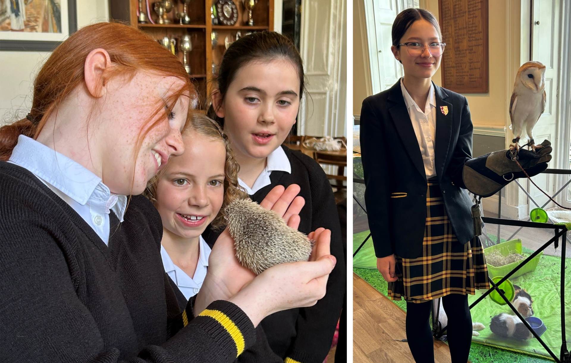 Girl choristers hold an owl and other small creatures Girl Choristers hold an owl and other small creatures