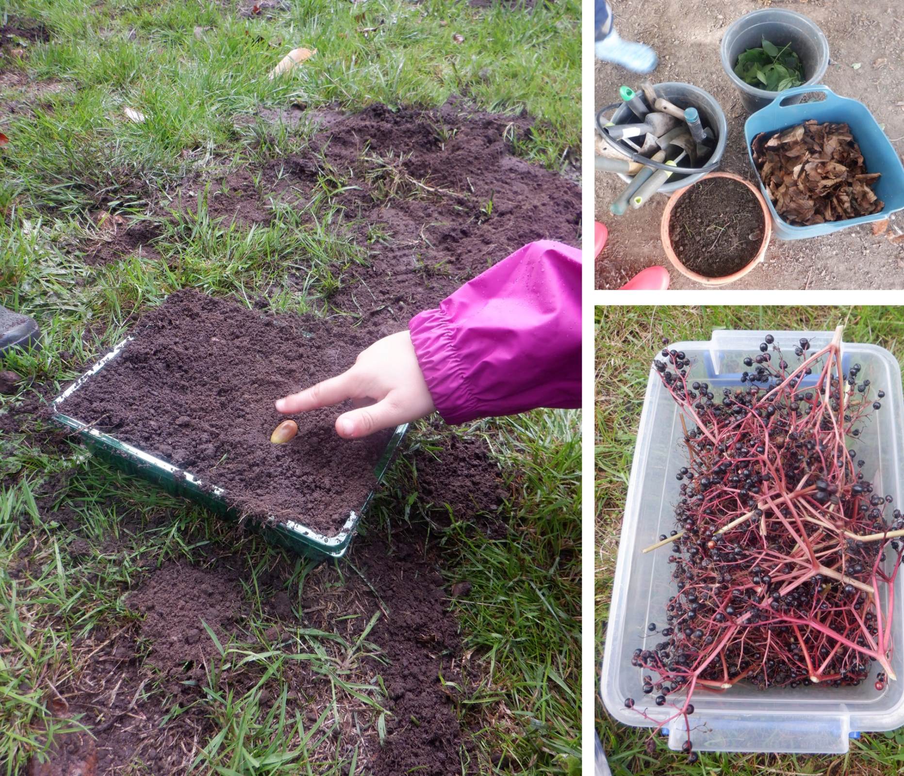 Three photos of Forest School activities undertaken in the autumn