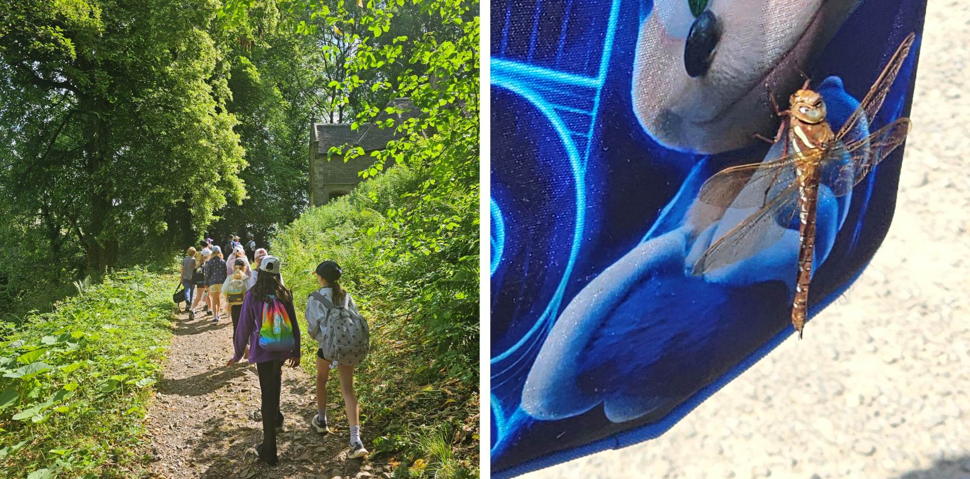 Children walking through woodland and a dragonfly on a backpack