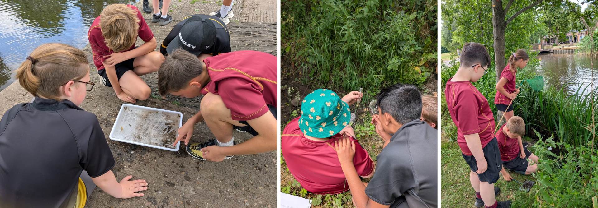 Pupils pond-dipping and taking soil samplese in Beacon Park