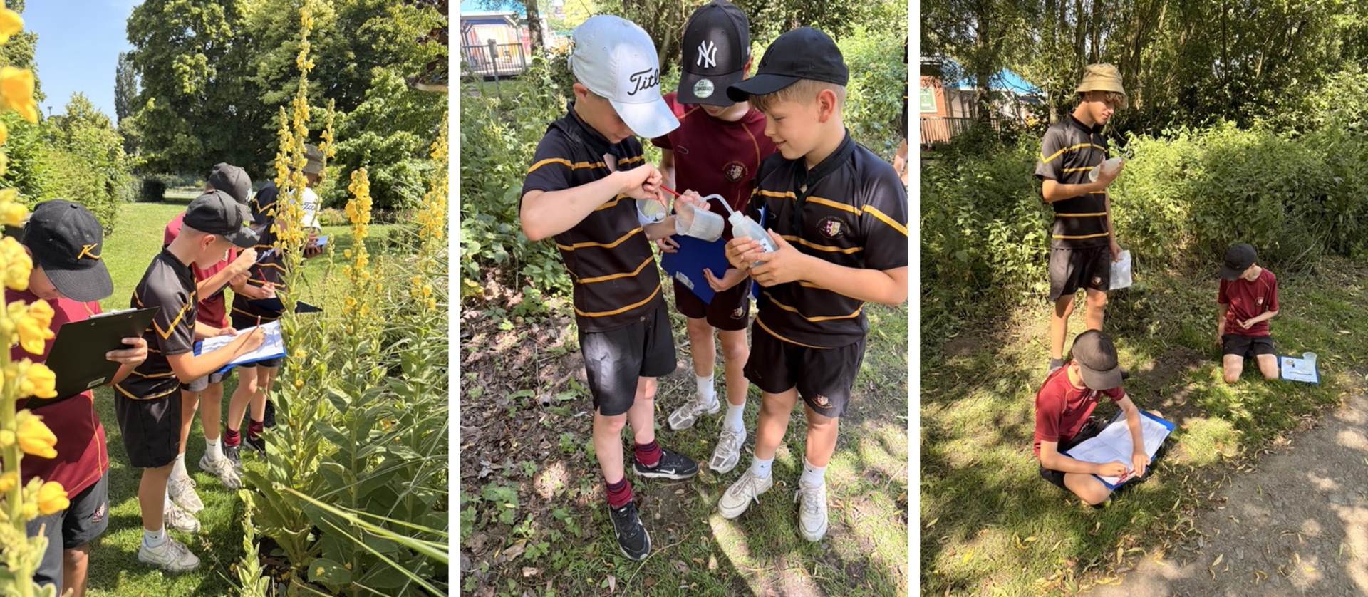 Year 7 pupils doing plant investigations on ecology field trip 2 photos of Year 7 pupils on ecology field trip