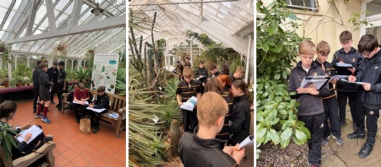 Rainforest Challenge for Year 8