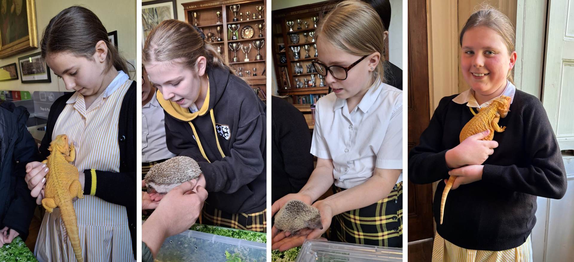 Girl Choristers meet new animal friends