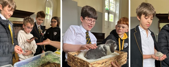 Choristers make friends with animals