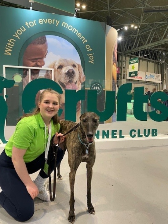 Thank you from Retired Greyhound Trust