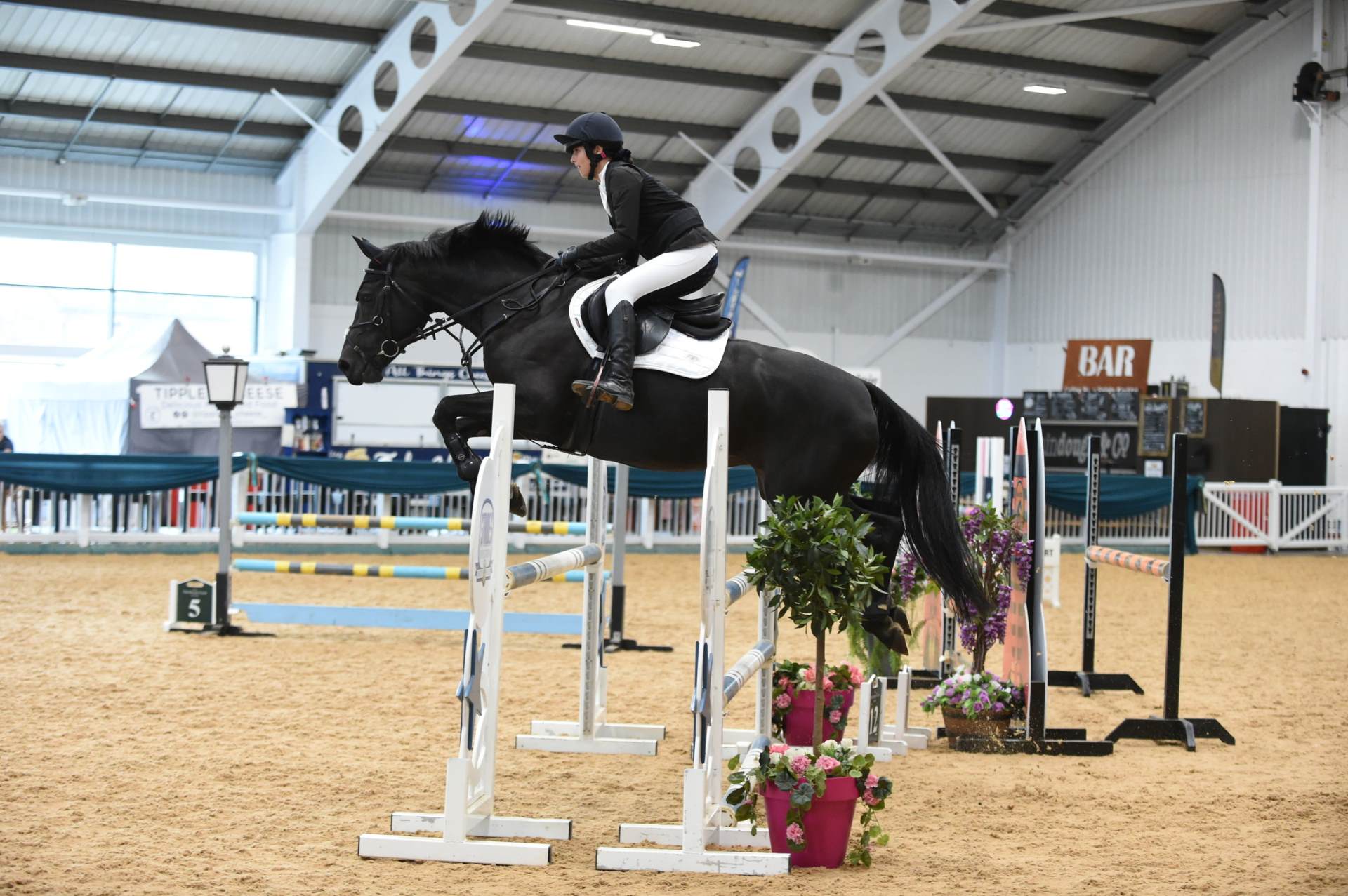 Lauren showingjumping on Lady Jasmine