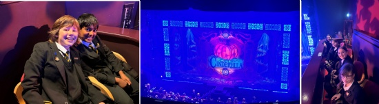 Exciting seasonal theatre trips