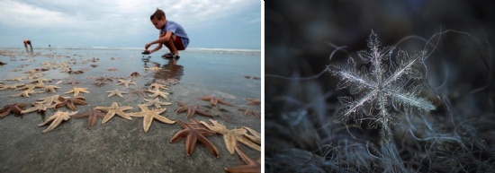 Starfish & Snowflakes - why every little bit counts