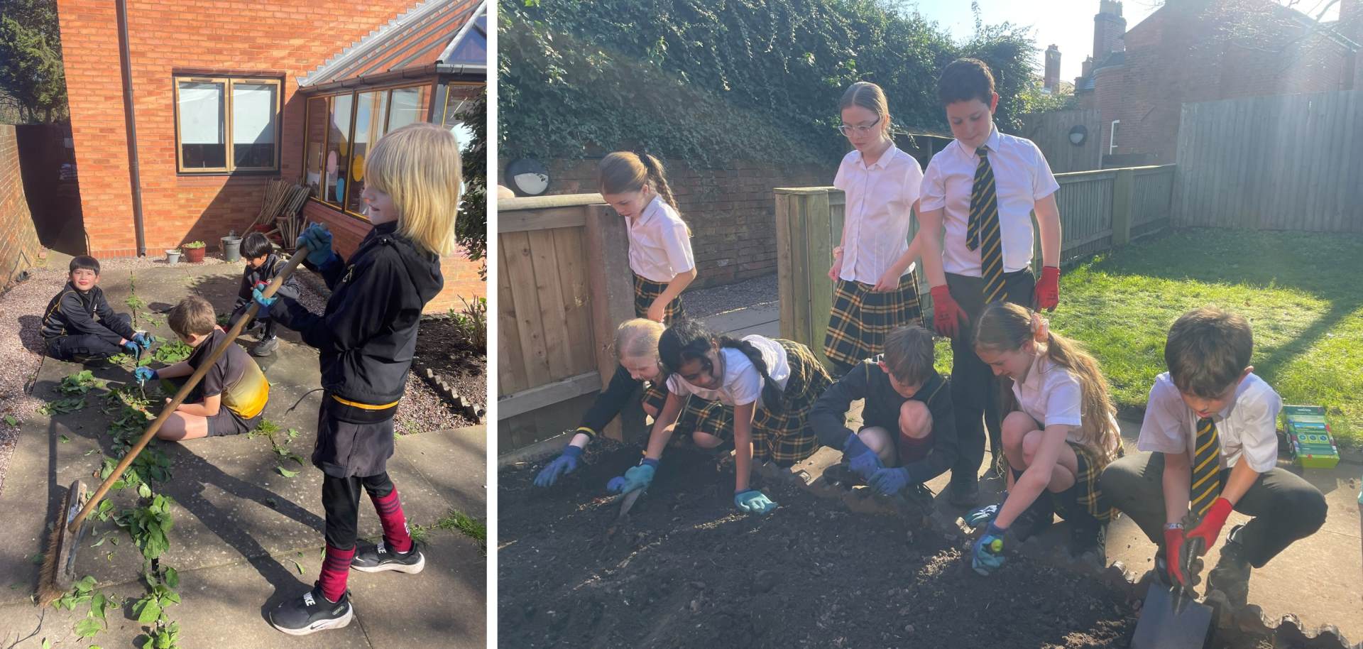 Year 6 learn horticulture and sustainability