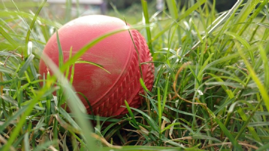 U15 Cricket vs KE Lichfield