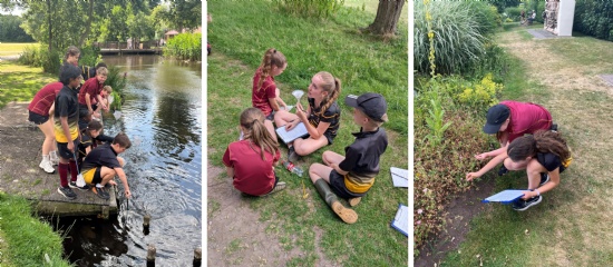 Ecology study in Beacon Park