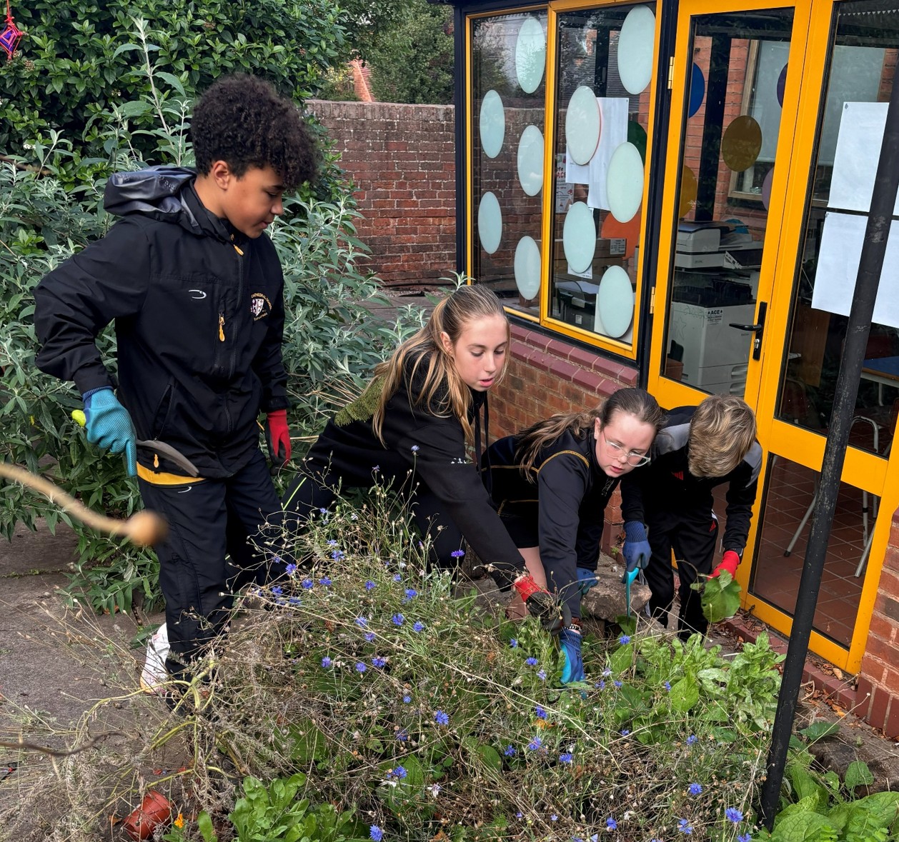 Broadhurst gardening seasonal prepwork